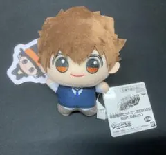 家庭教師ヒットマンREBORN! ちびぐるみ 沢田綱吉