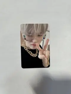 TREASURE ヨシ Night Garden