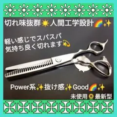 美容師 セット ミズタニ 武芸 ロイヤルマスター 光シザー トギノン