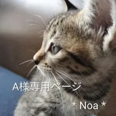 ＊A様専用ページ＊