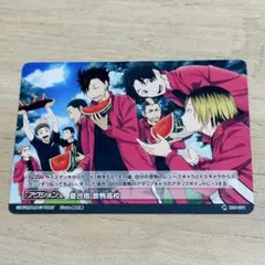 ハイキュー　バボカ　プロモーションカード　夏合宿　音駒高校