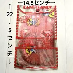 【昭和　レトロ】キャンディキャンディ マンガ家 じょうぎセットのサムネイル