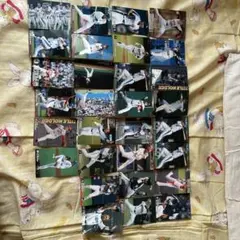 カルビー プロ野球チップスカード