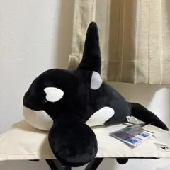 名古屋港水族館　シャチ　ぬいぐるみ　アース　貴重 シャチのアースもちもちぬいぐるみ｜大丸松坂屋オンラインストア