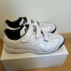 Item thumbnail for item 0a93eb39-8364-472f-bf5c-fb6a5ab5071d