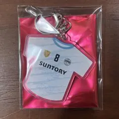 Item thumbnail for item 16b20dff-f779-4ae8-87be-1d2bee11c6cb