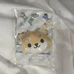 まめちぃ　マスコット付きヘアゴム　JOCHUM JO1 ジェオチャム