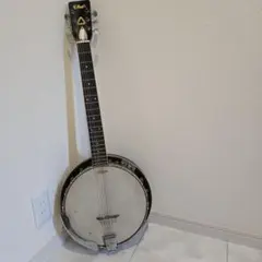 Item thumbnail for item 347ce0c2-25b6-4049-8126-089d9922768f