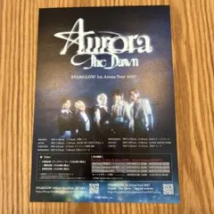 STARGLOW 1st Arena Tour 2027 フライヤー チラシ