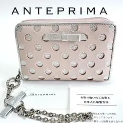 新品未使用⭐️ANTEPRIMA シルバー フラグメントケース - メルカリ