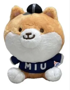 ポリまる
