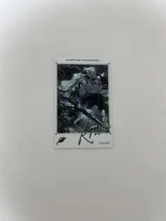 克魯魯 拍立得風格卡片 影之詩 境界世界 RAGE