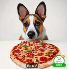 犬 音が出るおもちゃピザ2枚セットのサムネイル