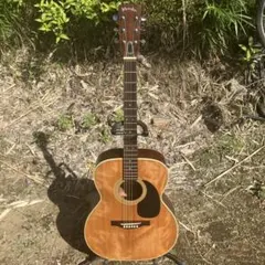 2025年最新】マルハ ギターの人気アイテム - メルカリ