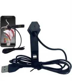 Item thumbnail for item b8ae85f6-e8bd-4d98-abfc-e19ca283d428