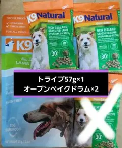 ケーナインナチュラル K9 Natural ラム グリーントライプ 200g - メルカリ