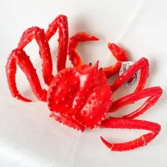 Item thumbnail for item 82fed246-f5f3-41ad-a274-967f2badc727