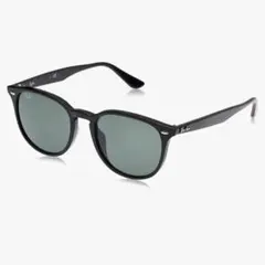 RayBan サングラス 0RB4259F