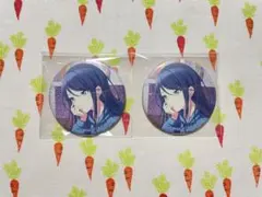 プロセカ 星野一歌 21A 缶バッジ 2個