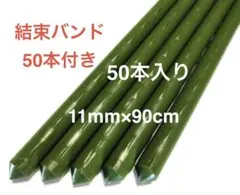 사마귀가 있는 원예용 스트럿, 스틸 파이프 브레이스, 50개 팩, 11mm x 90cm (밴드 포함)