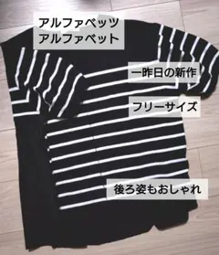 Alphabet's alphabetボーダー半袖/1枚でおしゃれ★フリーサイズのサムネイル