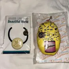 嵐　ライブツアー2011-2012