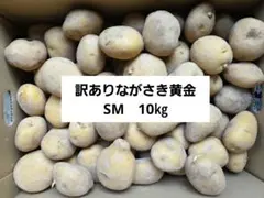 現品限り！長崎県産訳ありながさき黄金じゃがいもSM　10㎏のサムネイル
