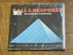 THE ELEPHANT KASHIMASHI CALL & RESPONSE