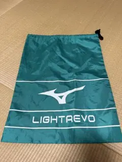 Item thumbnail for item 8ac5cb41-65b0-47a1-bfba-12c44118d151