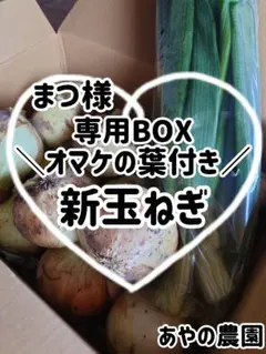 まつ様専用BOX