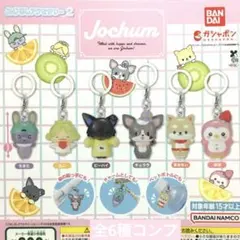 Jochum めじるしアクセサリー2★全6種コンプリート