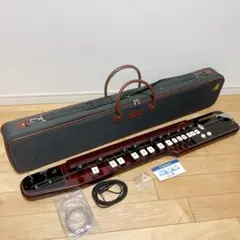 2025年最新】大正琴 蘭 バスの人気アイテム - メルカリ