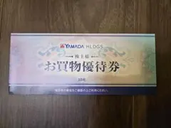 ヤマダ電機　株主優待券　5000円分