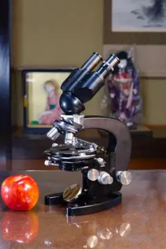 2026年最新】アンティーク顕微鏡の人気アイテム - メルカリ