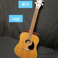vagi 希少 アコースティックギター 2026年最新】VAGI アコースティックギターの人気アイテム - メルカリ