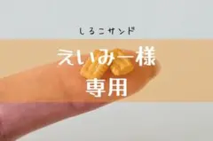 えいみー様　専用