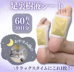 60枚 足裏樹液シート 健康樹液 30日 フットケア むくみ ムクマネーゼ