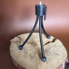 Item thumbnail for item b9f59ec1-2c50-494e-8901-0be16feb6db7