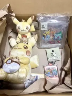 ポケモンセンター　30周年　ピカチュウぬいぐるみ　アクリルブロック　まとめ売り