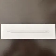 Apple Pencil (USB-C)