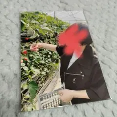 KAITO　L版　めろんぱーかー　めろぱか　ブロマイド　シークレット　実写