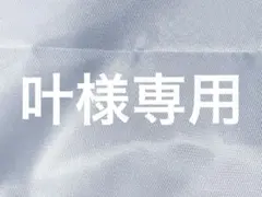 忍たま乱太郎 ぷちぬいぐるみ 叶様専用