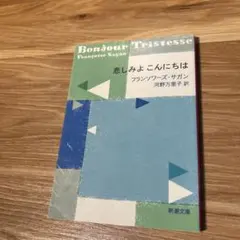 悲しみよ こんにちは