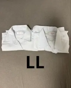 Item thumbnail for item 906b2717-1351-4172-86cd-bcf328d4e938