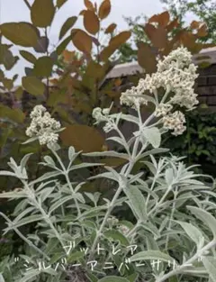 marinred様 リクエスト 3点 まとめ商品