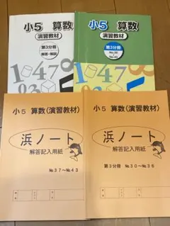 Item thumbnail for item 536e2b3e-c74c-45f7-b95f-0693256407a9