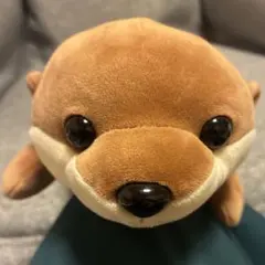 水族館　カワウソ　ぬいぐるみ　 ハッピーマリンのサムネイル