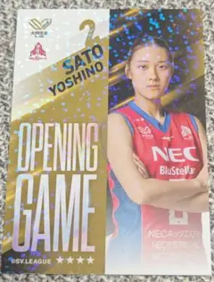 NECレッドロケッツ 佐藤淑乃　トレカ　Vコレ