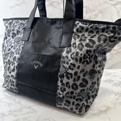 Item thumbnail for item 83743ca0-416e-47c3-96db-25f70238542d