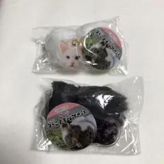 にゃんたますこっと　2個（サバトラ　白）　AMUFUN